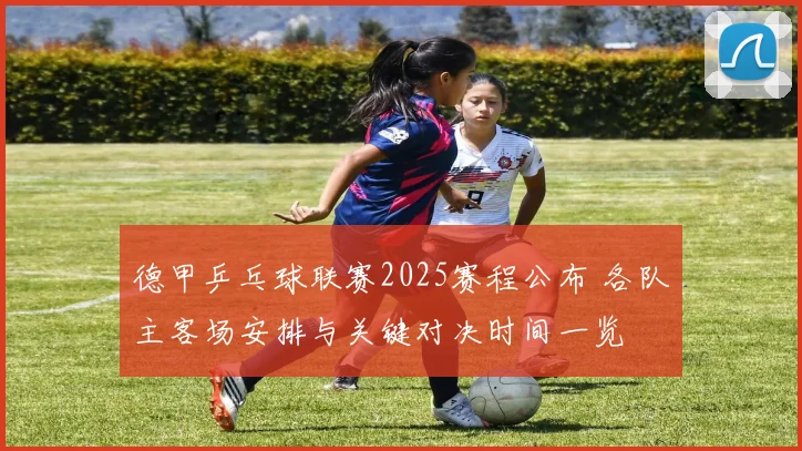 德甲乒乓球联赛2025赛程公布 各队主客场安排与关键对决时间一览