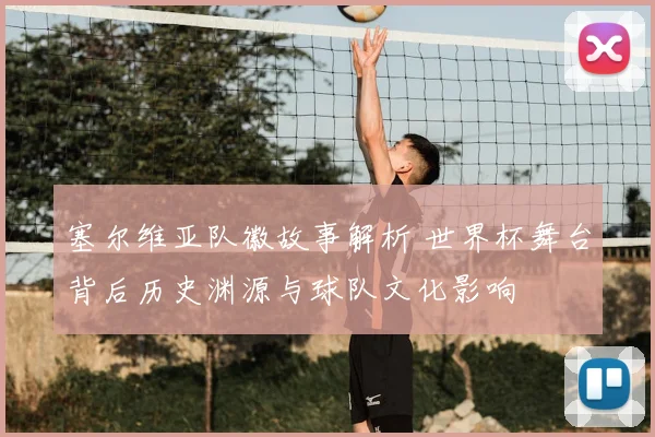 塞尔维亚队徽故事解析 世界杯舞台背后历史渊源与球队文化影响