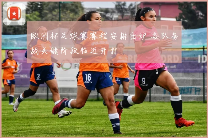 欧洲杯足球赛赛程安排出炉 各队备战关键阶段临近开打