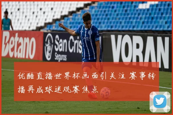 优酷直播世界杯画面引关注 赛事转播再成球迷观赛焦点